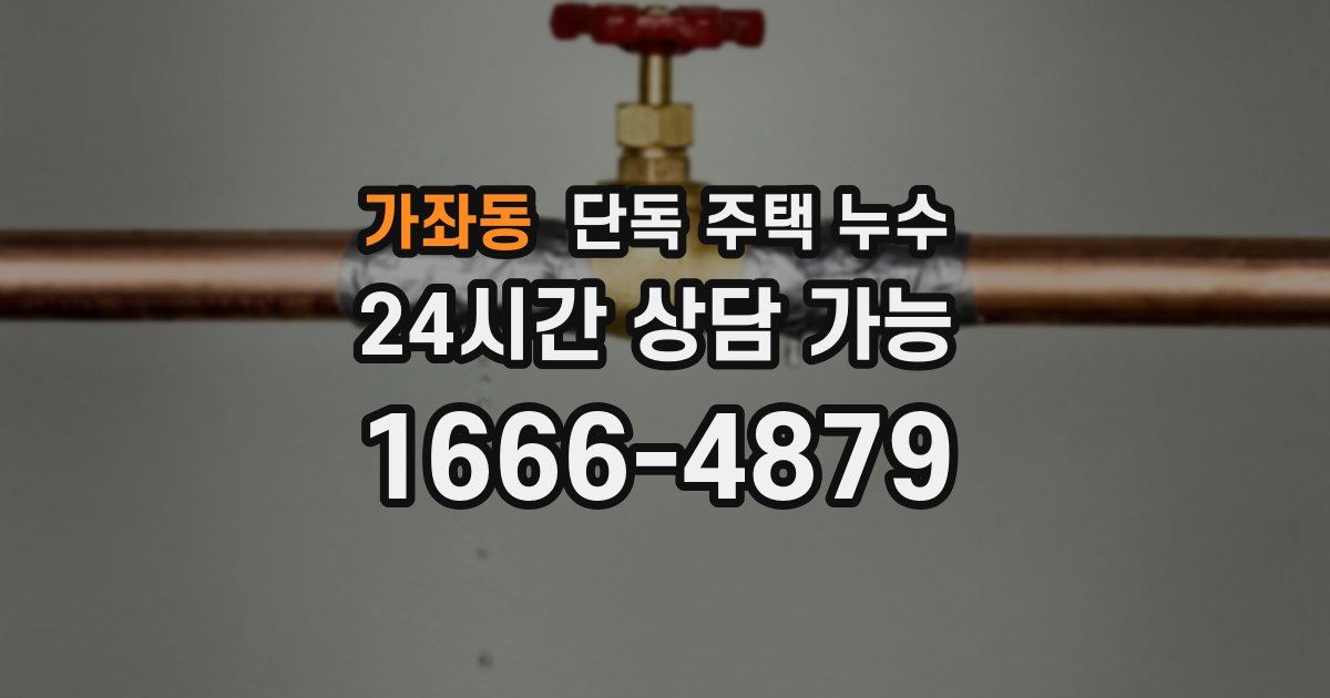 가좌동 단독 주택 누수