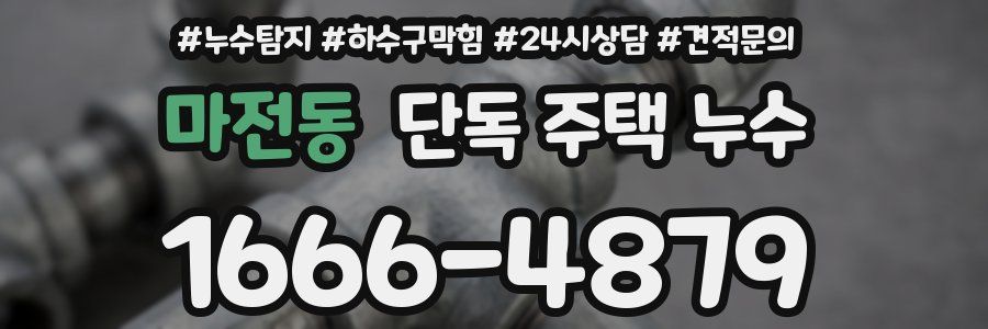 마전동 단독 주택 누수