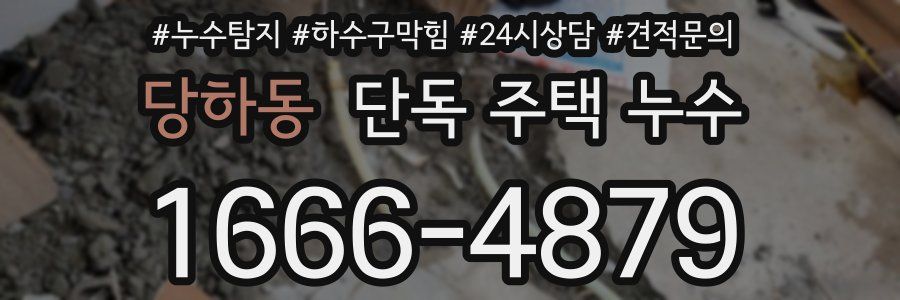 당하동 단독 주택 누수