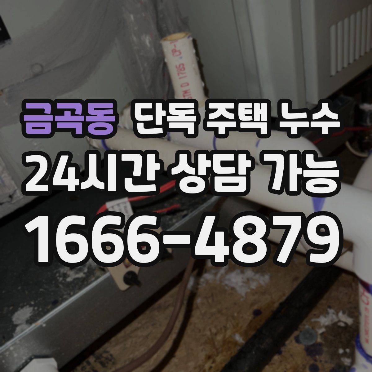 금곡동 단독 주택 누수 변기 주변 실리콘이 들뜰 때