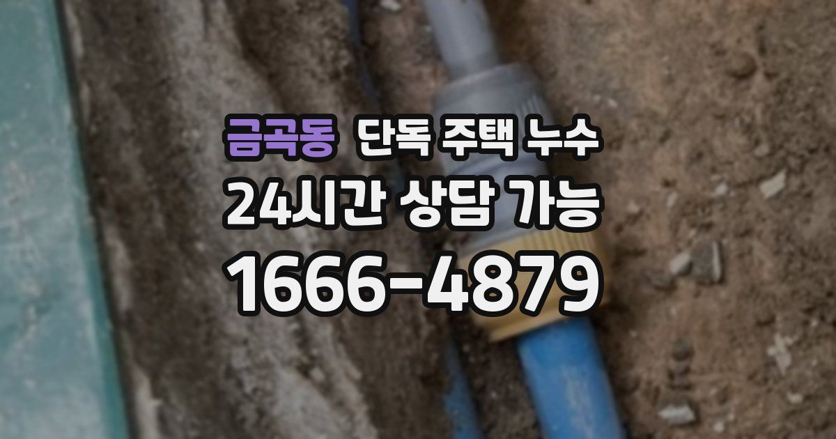 금곡동 단독 주택 누수