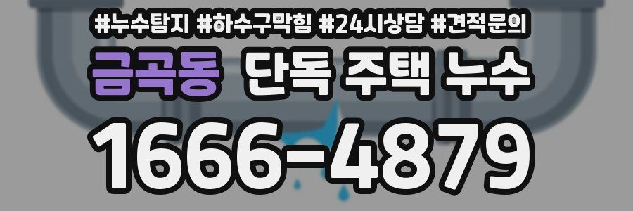 금곡동 단독 주택 누수