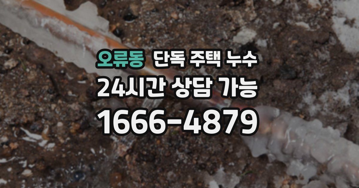 오류동 단독 주택 누수