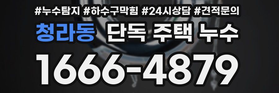 청라동 단독 주택 누수