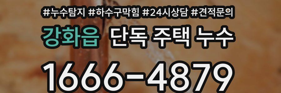 강화읍 단독 주택 누수