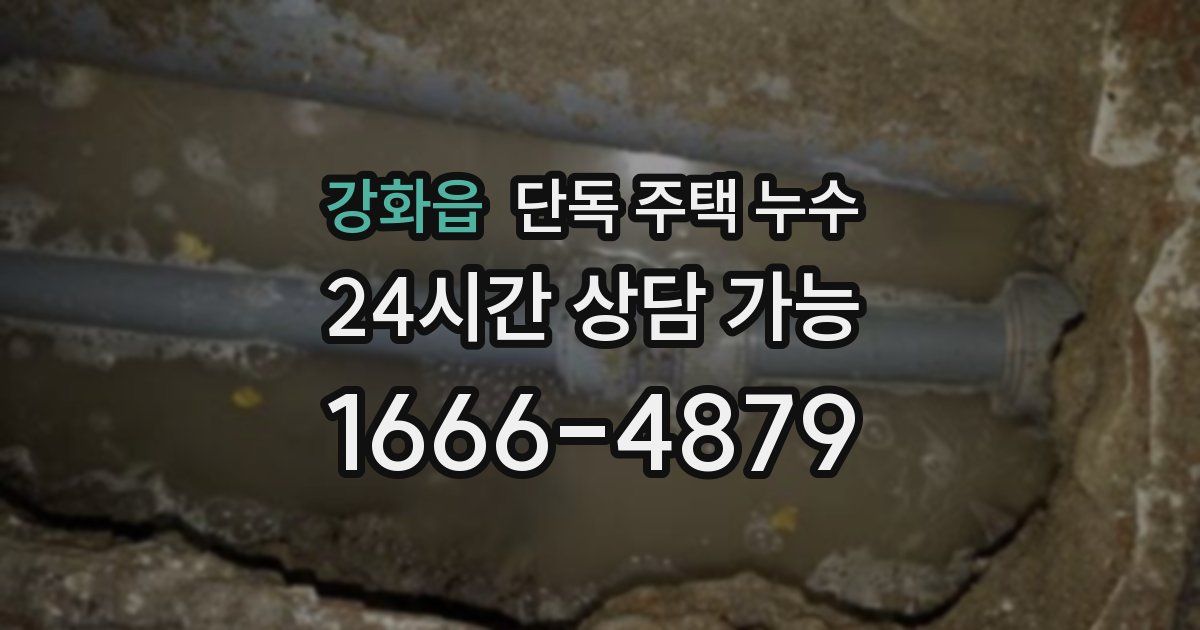 강화읍 단독 주택 누수