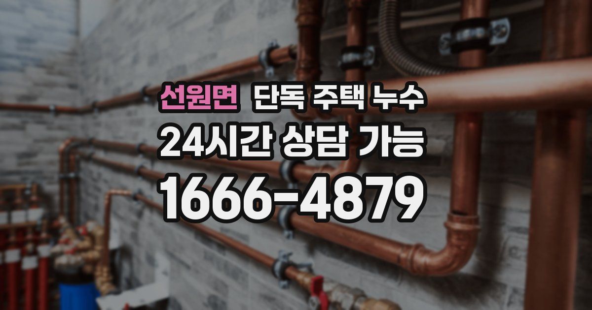 선원면 단독 주택 누수