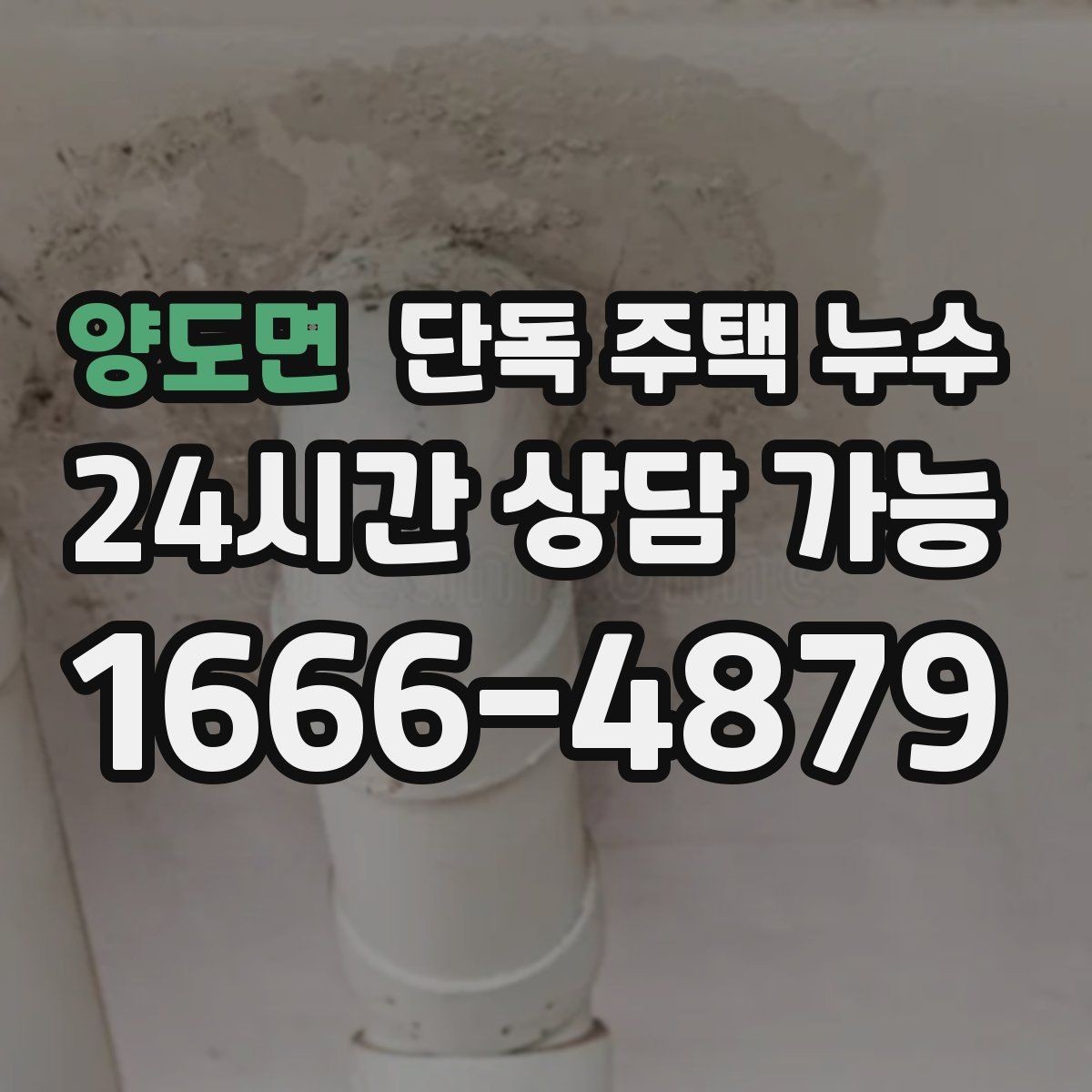 양도면 단독 주택 누수 붙박이장 뒤 곰팡이가 생길 때