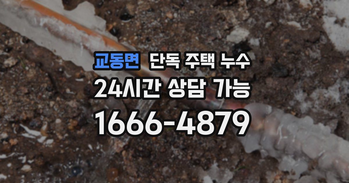 교동면 단독 주택 누수