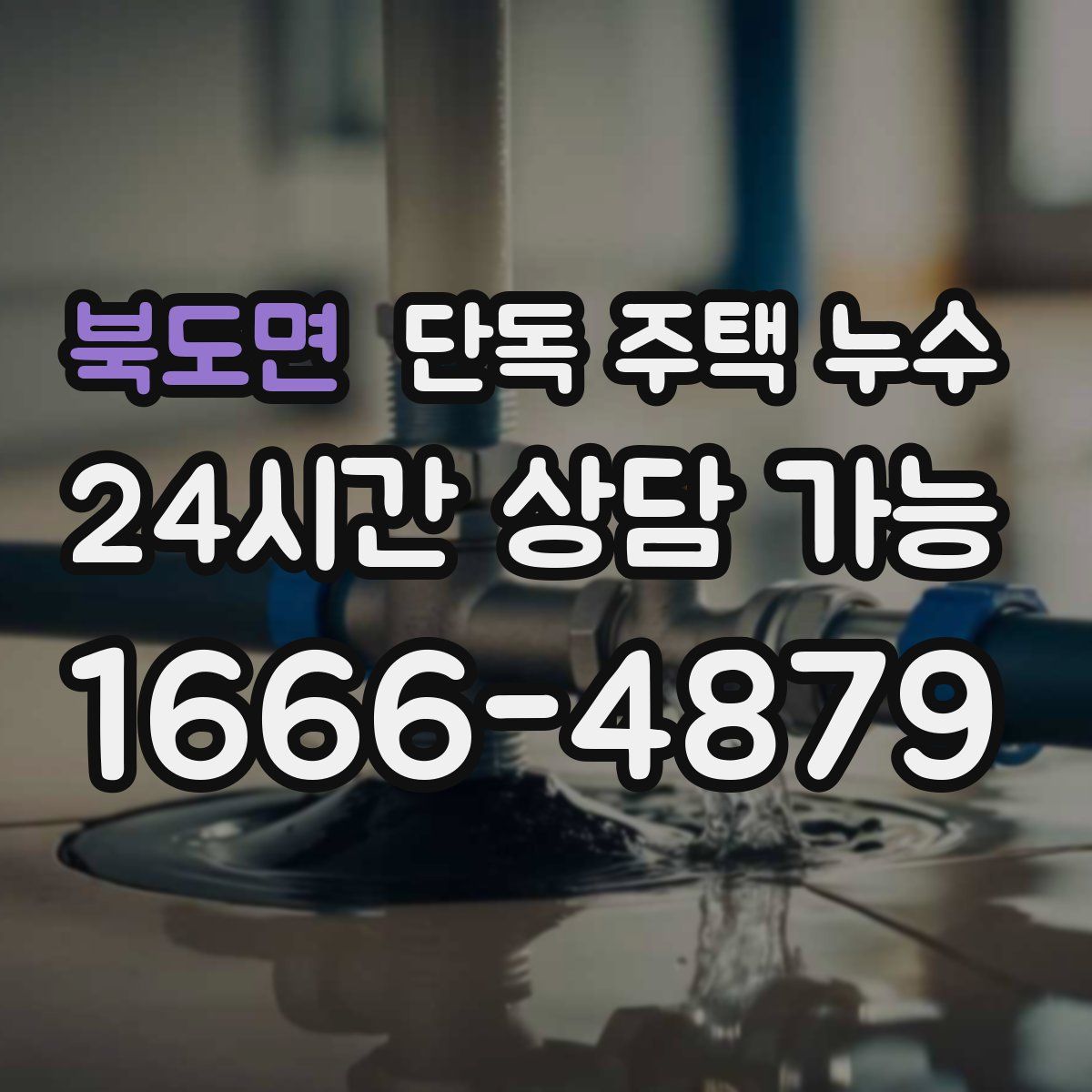 북도면 단독 주택 누수