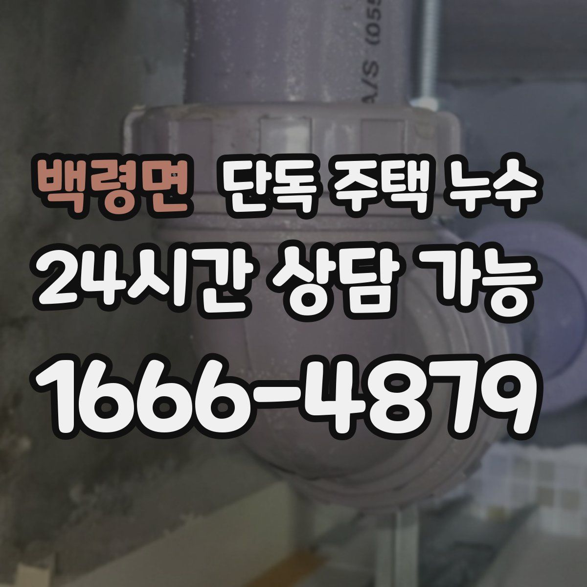 백령면 단독 주택 누수