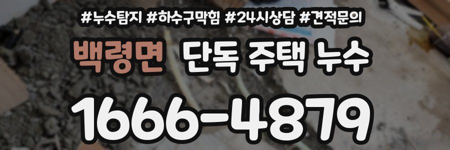 백령면 단독 주택 누수