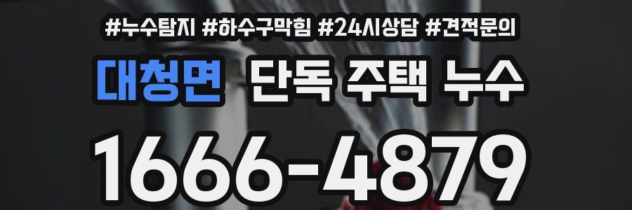 대청면 단독 주택 누수