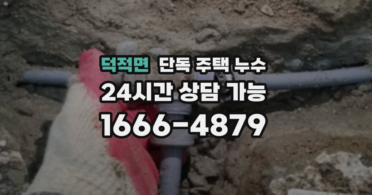 덕적면 단독 주택 누수