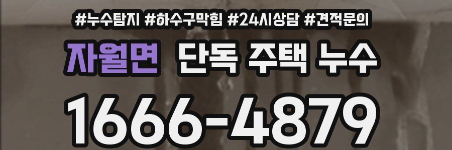 자월면 단독 주택 누수