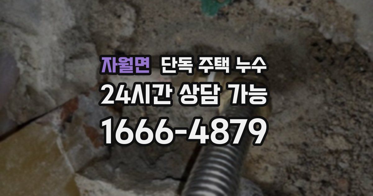 자월면 단독 주택 누수