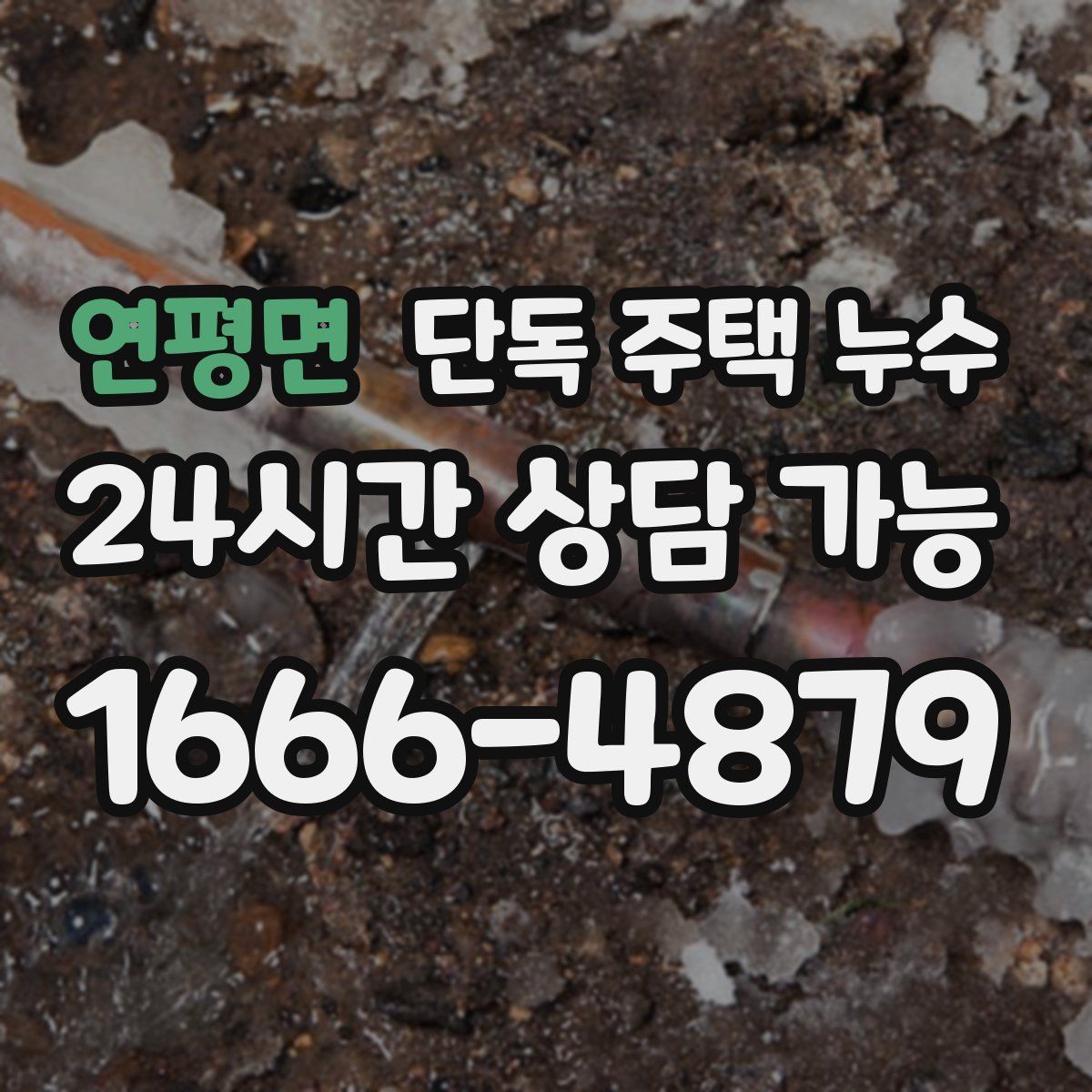 연평면 단독 주택 누수