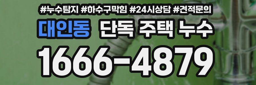 대인동 단독 주택 누수