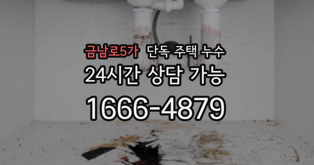 금남로5가 단독 주택 누수