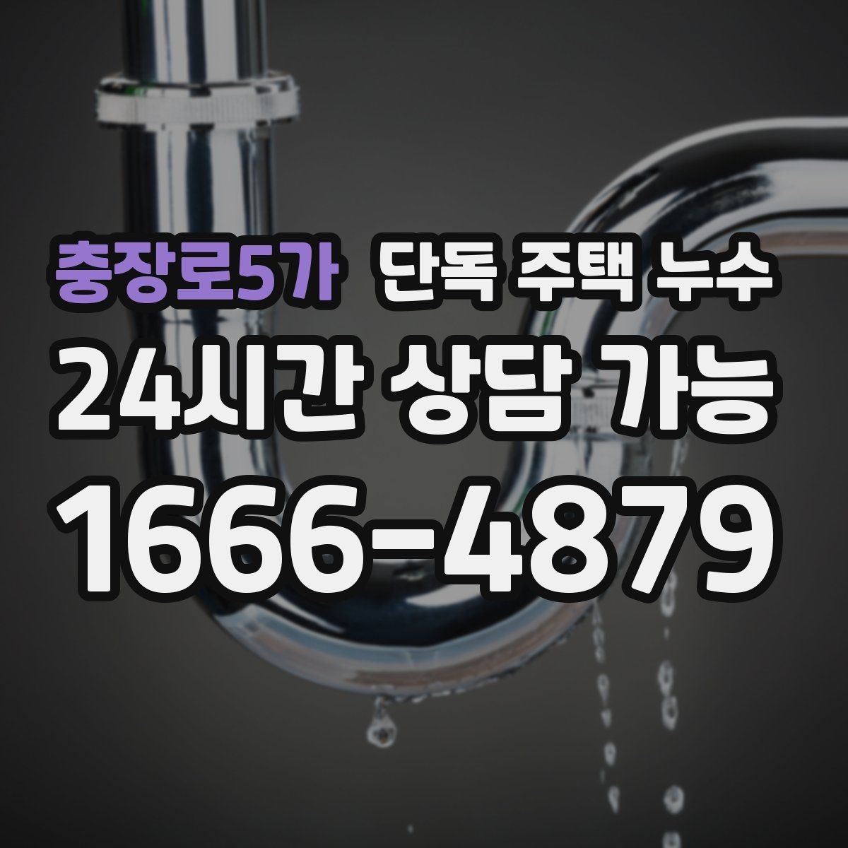 충장로5가 단독 주택 누수 마당 배수로 정비가 중요한 이유