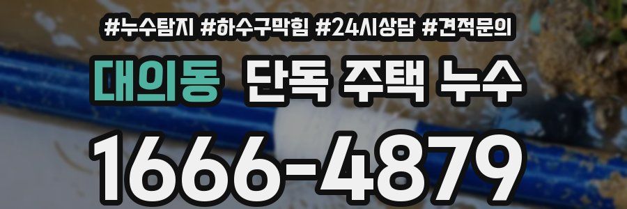 대의동 단독 주택 누수
