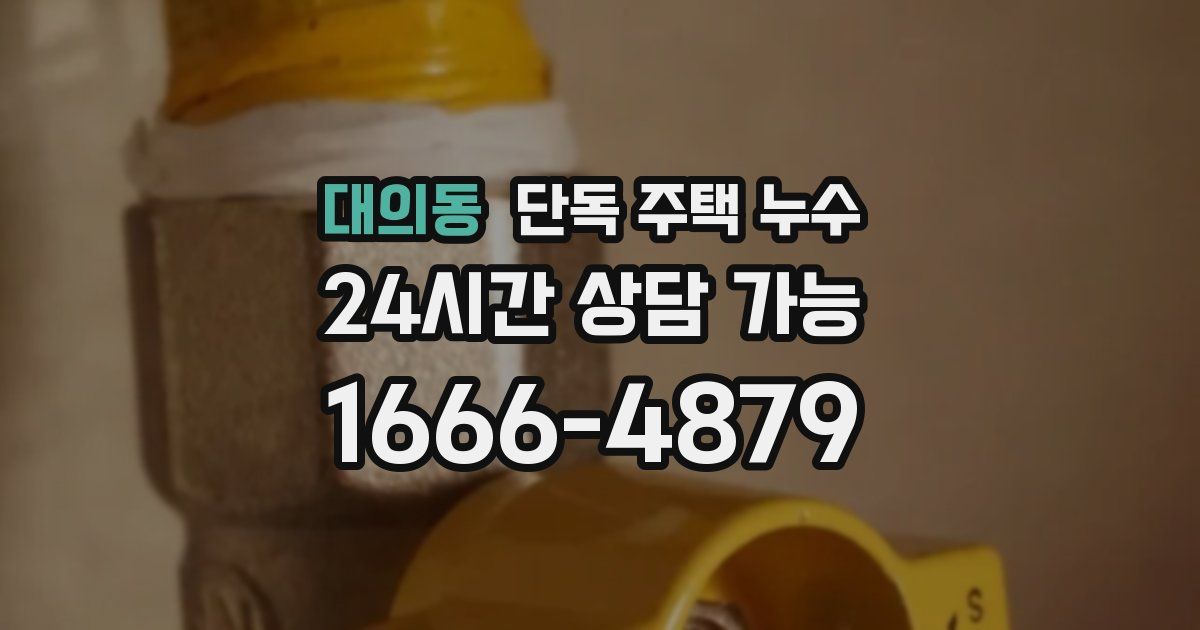 대의동 단독 주택 누수