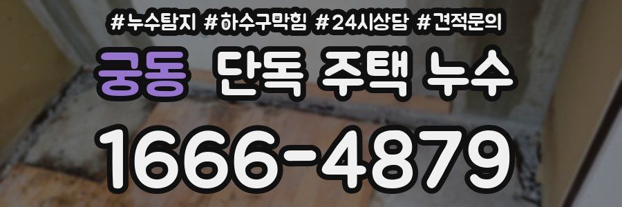 궁동 단독 주택 누수