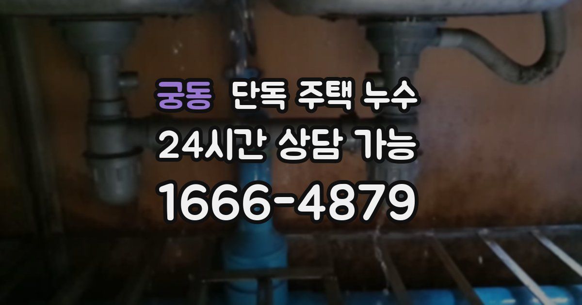 궁동 단독 주택 누수