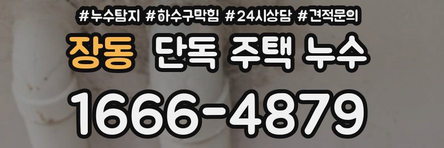 장동 단독 주택 누수