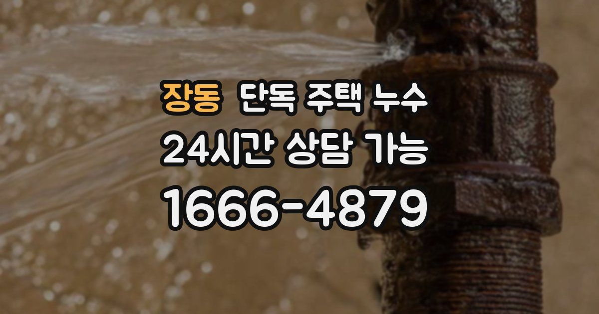 장동 단독 주택 누수
