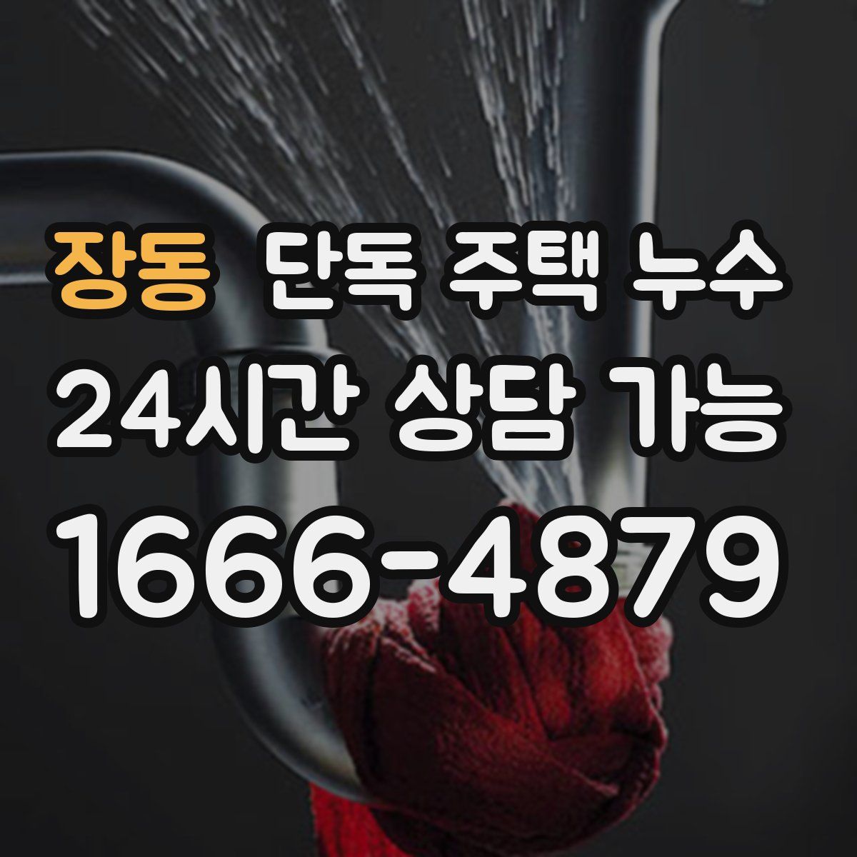 장동 단독 주택 누수