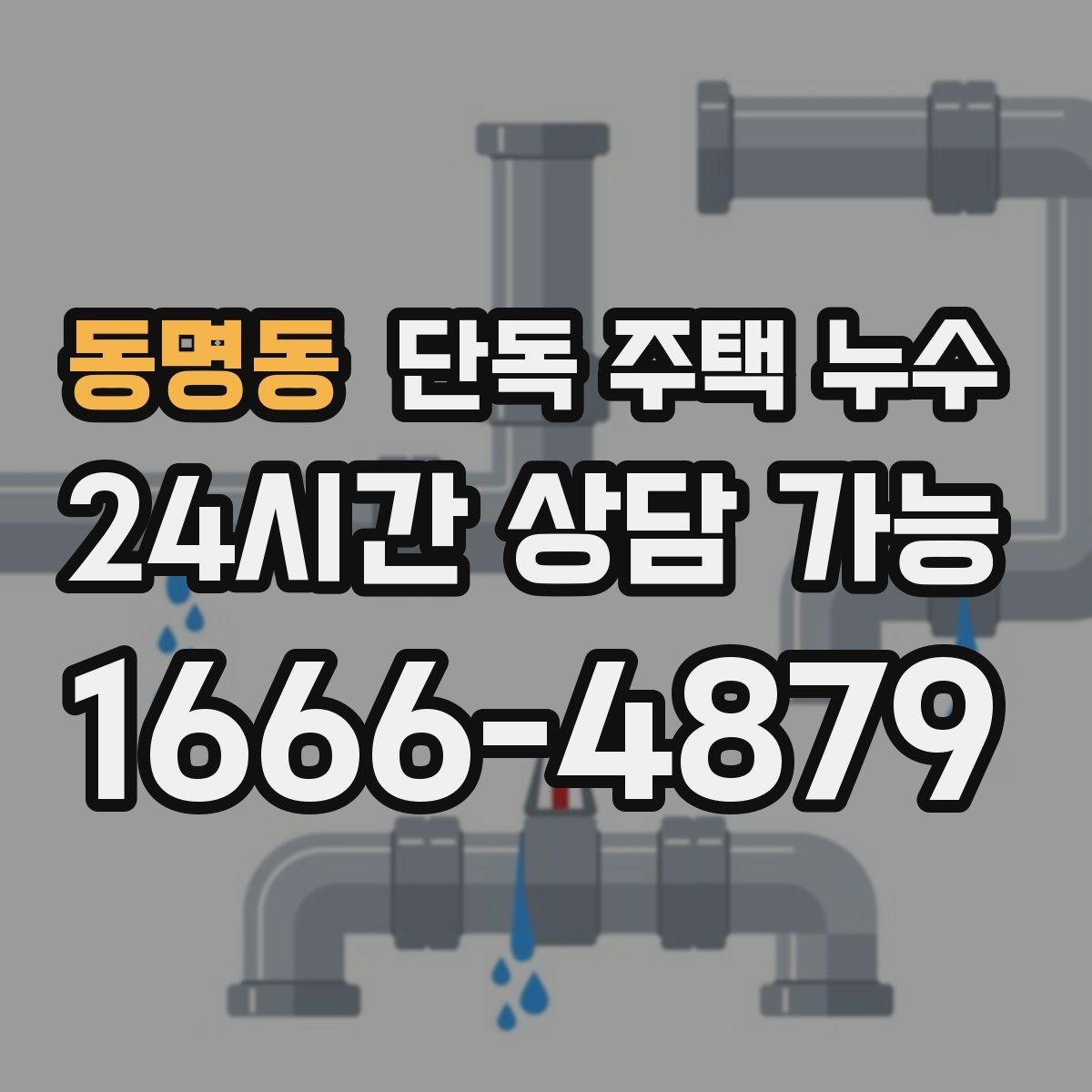 동명동 단독 주택 누수 새벽에 물방울 소리가 들릴 때 확인할 점