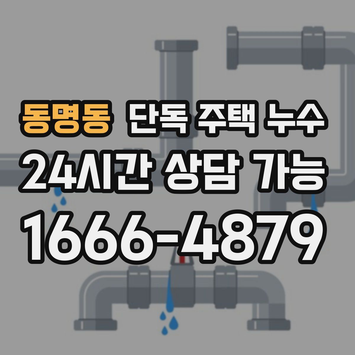 동명동 단독 주택 누수