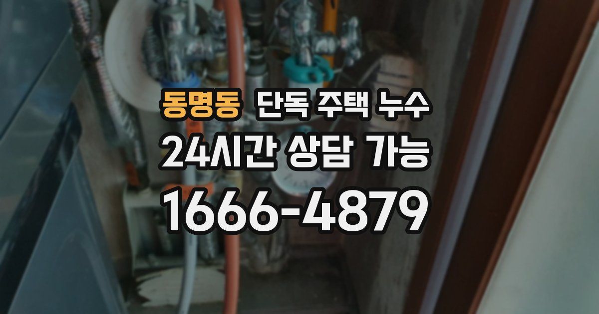 동명동 단독 주택 누수