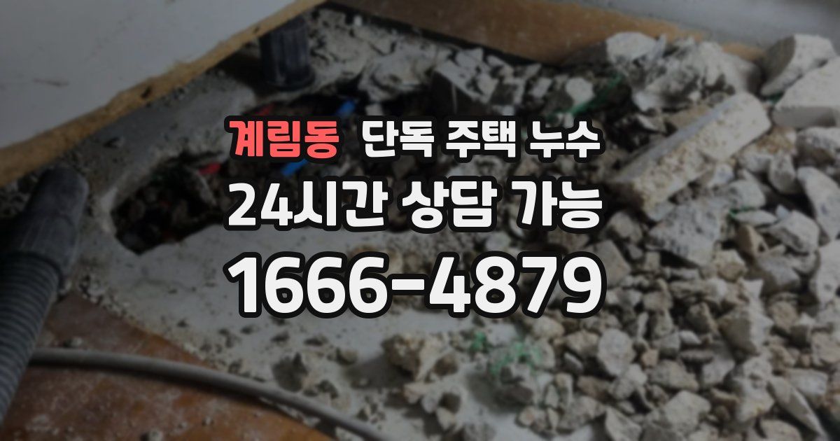 계림동 단독 주택 누수