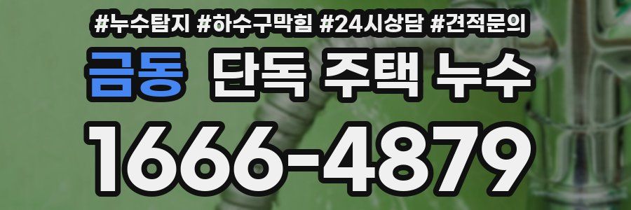 금동 단독 주택 누수