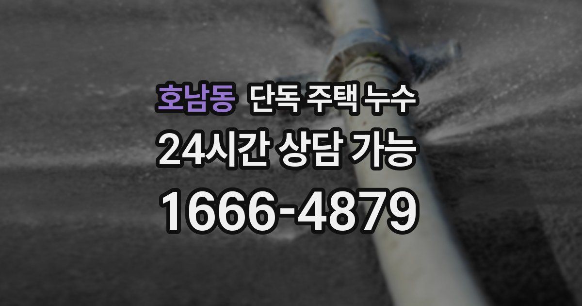호남동 단독 주택 누수