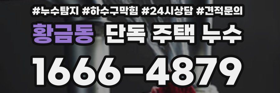 황금동 단독 주택 누수