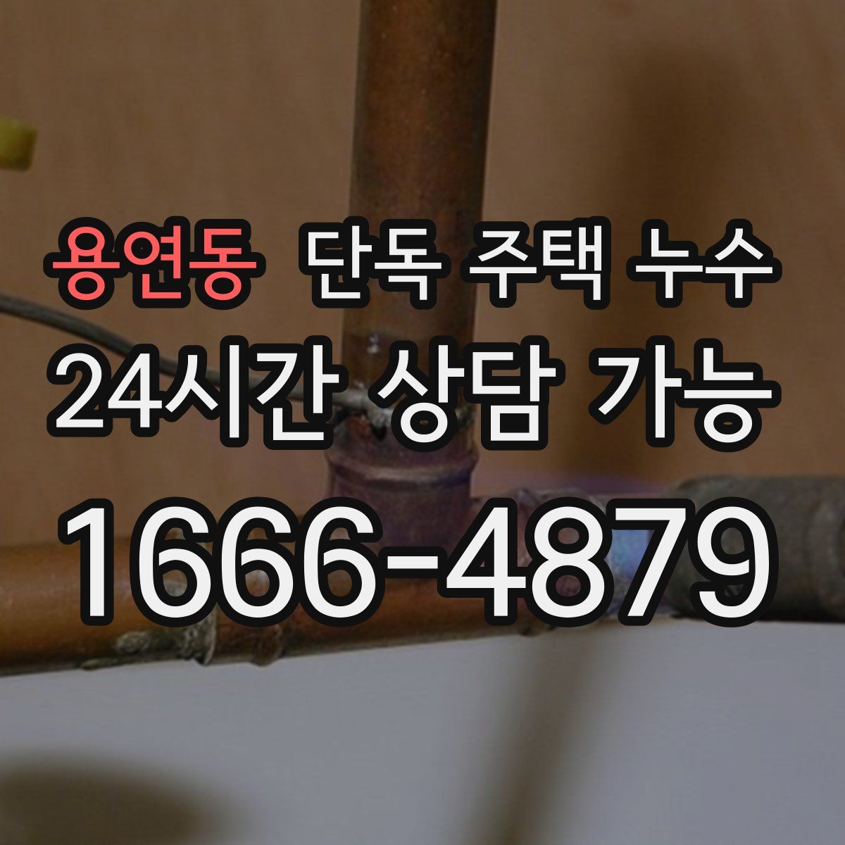 용연동 단독 주택 누수