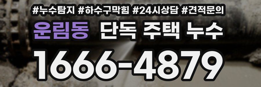 운림동 단독 주택 누수