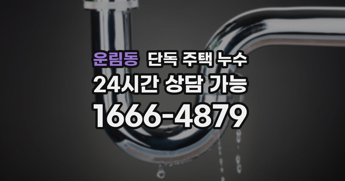 운림동 단독 주택 누수