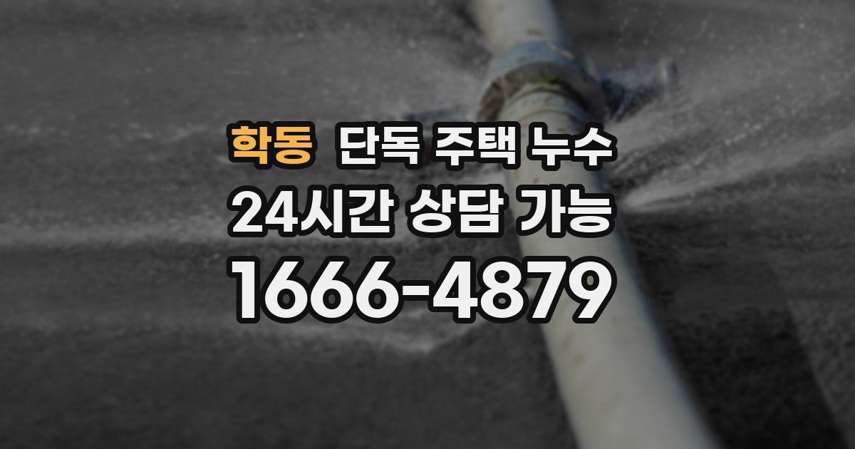 학동 단독 주택 누수