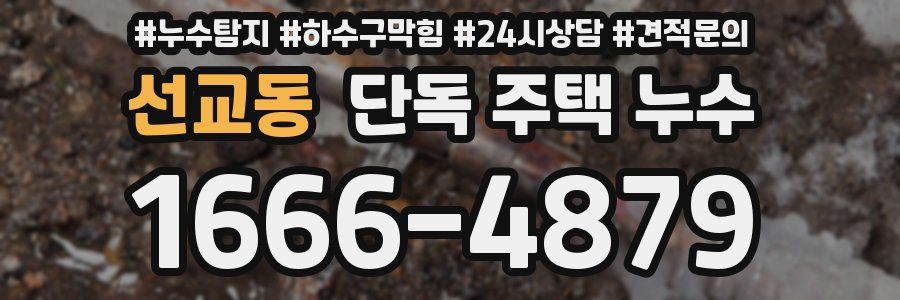 선교동 단독 주택 누수