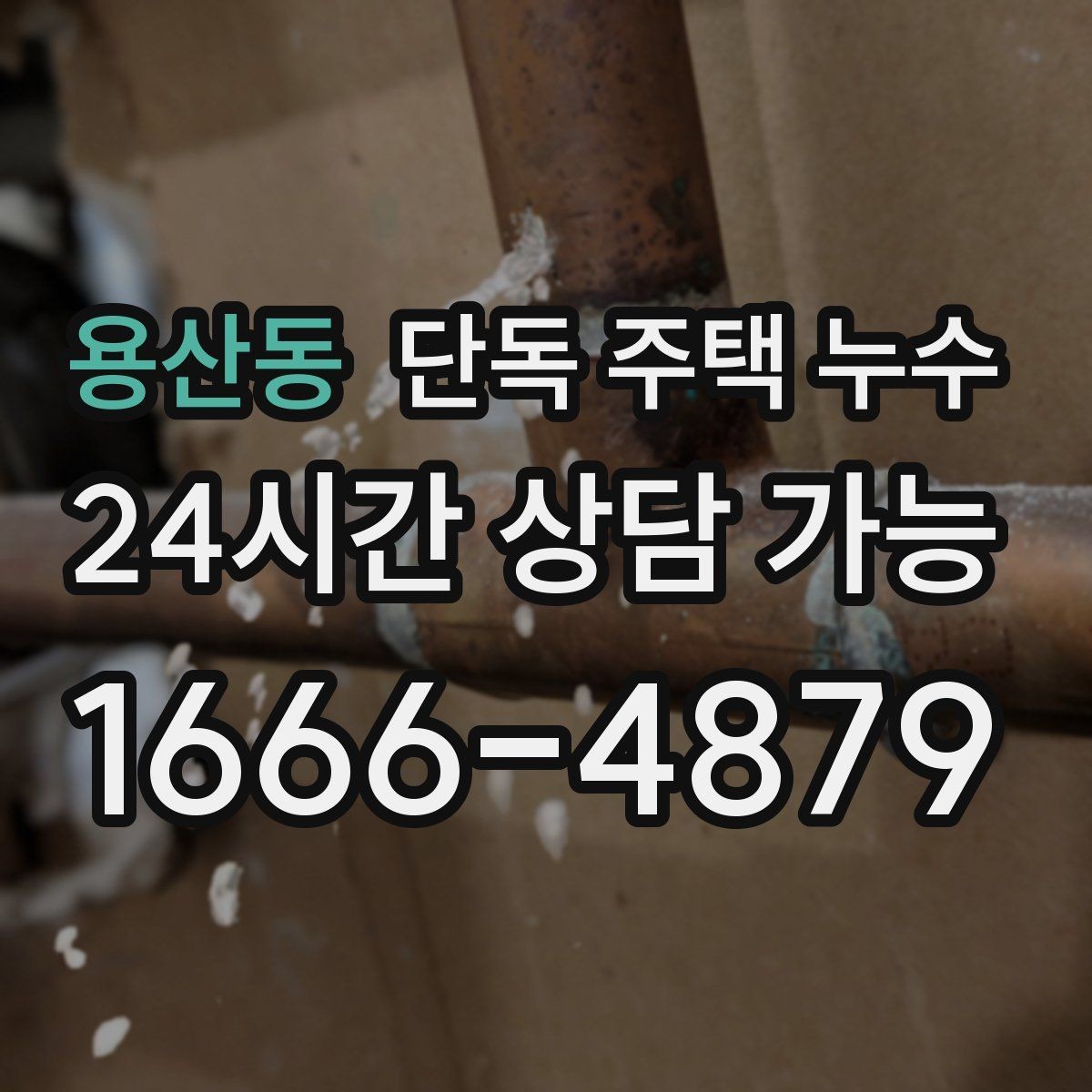 용산동 단독 주택 누수 곰팡이가 특정 구역에만 생기는 이유