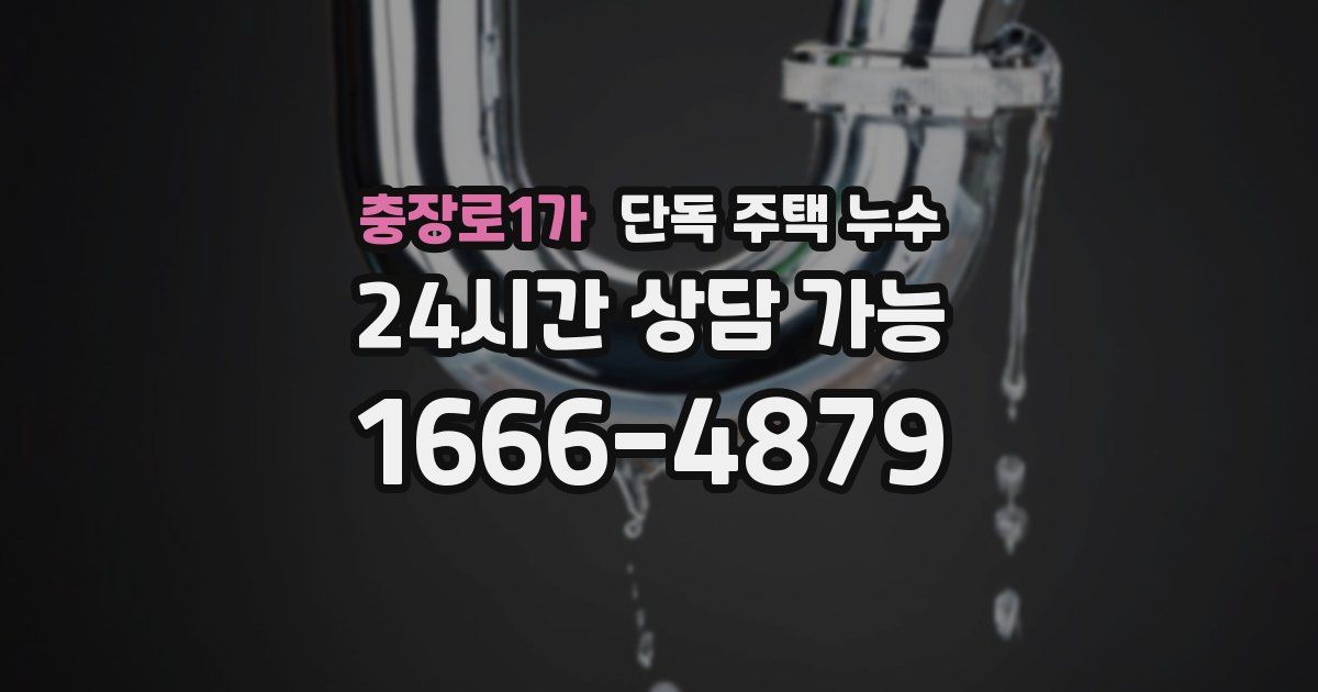충장로1가 단독 주택 누수