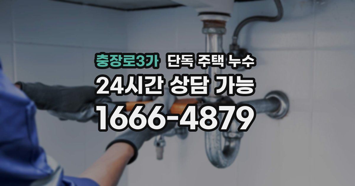 충장로3가 단독 주택 누수