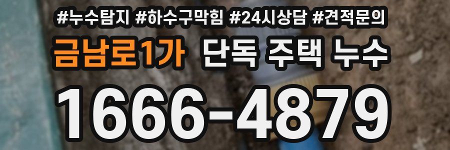 금남로1가 단독 주택 누수