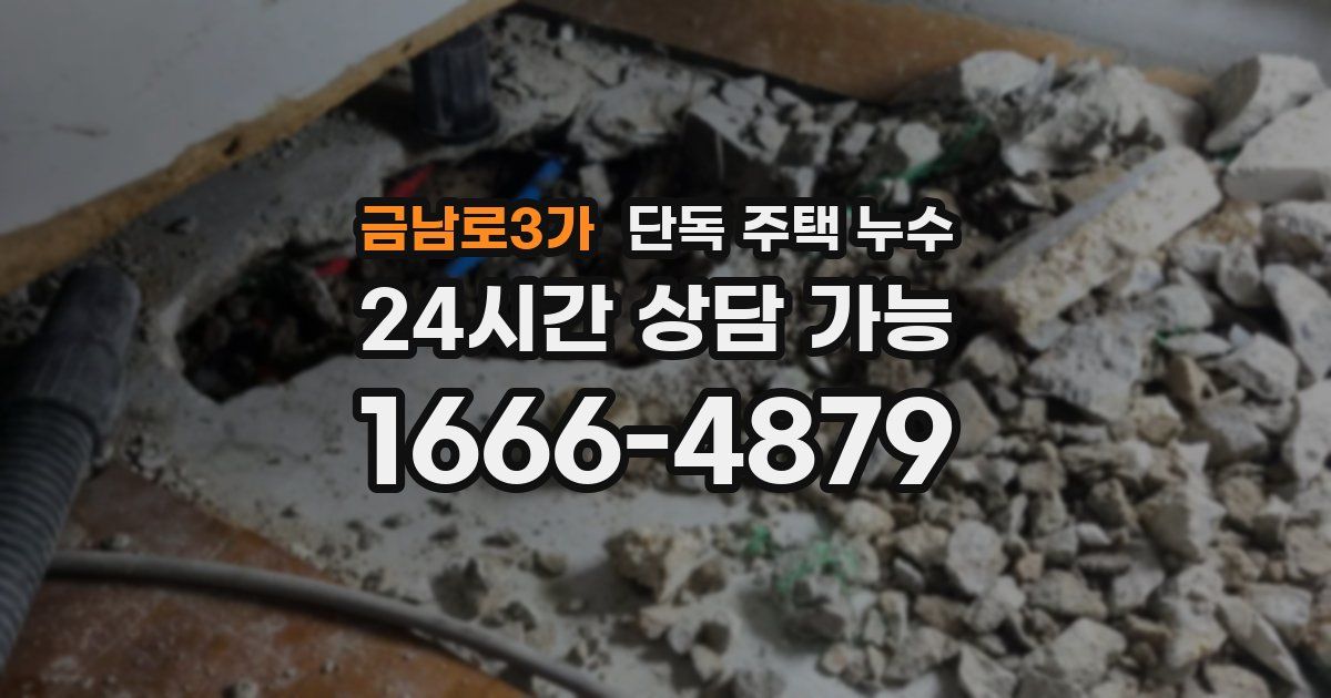 금남로3가 단독 주택 누수