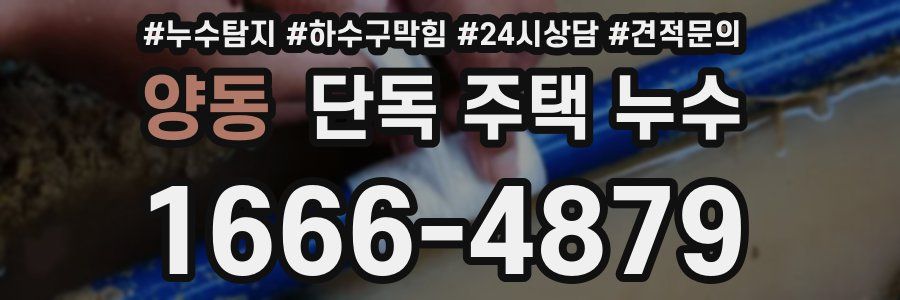 양동 단독 주택 누수