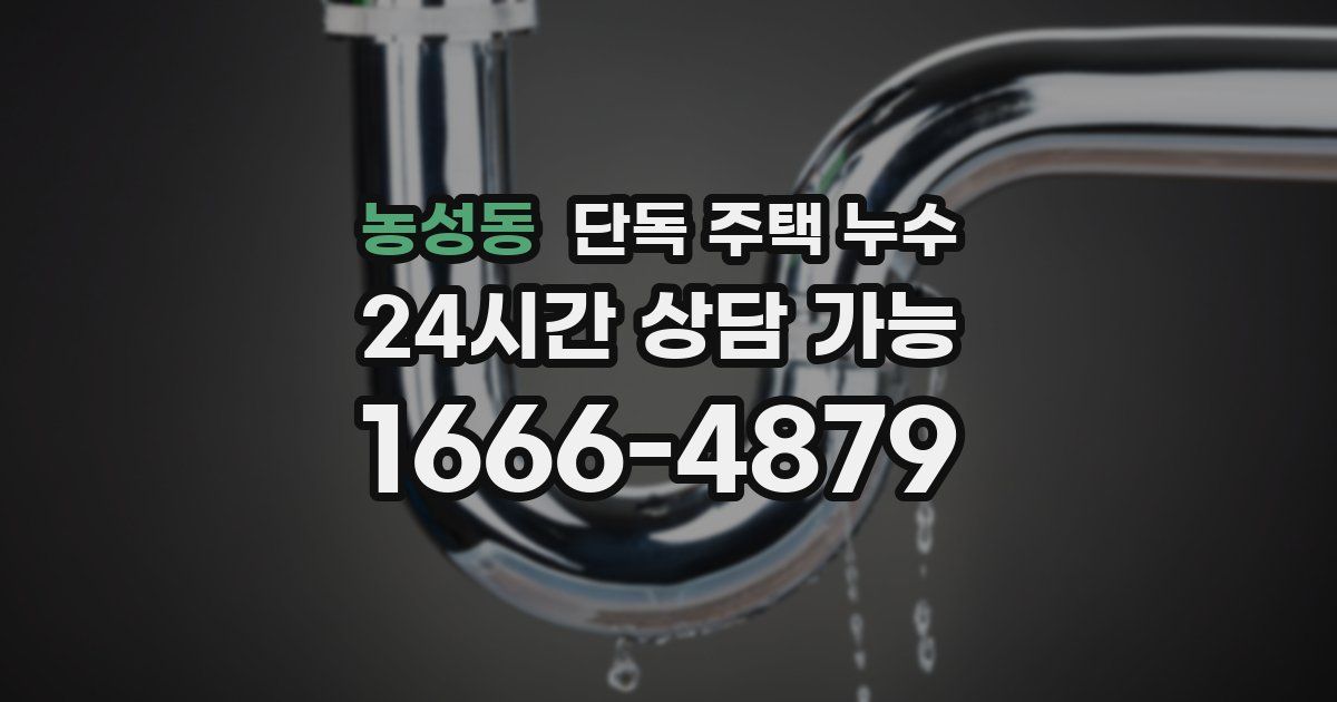 농성동 단독 주택 누수